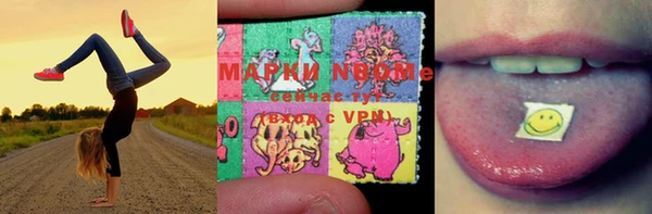 гашик Аркадак