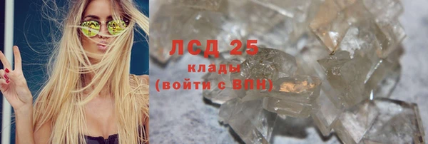 гашик Аркадак