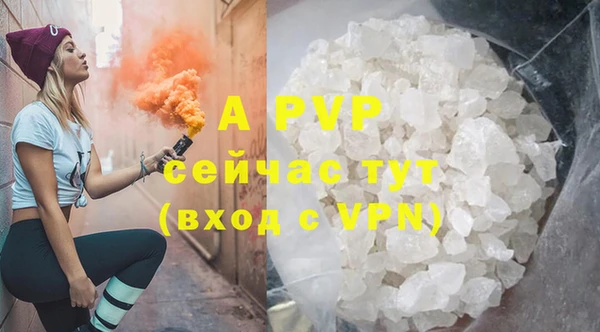 гашик Аркадак