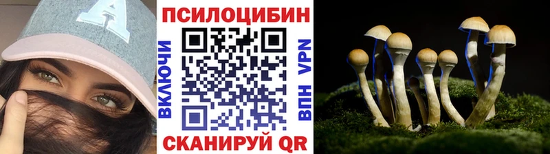 цена наркотик  Гуково  Псилоцибиновые грибы GOLDEN TEACHER 